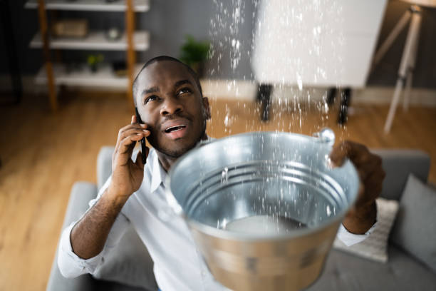 Best Water damage restoration near me  in Mound, MN
