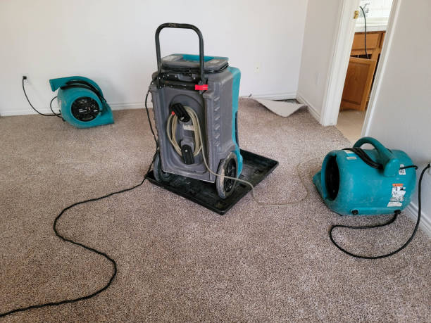Best Professional water damage repair  in Mound, MN
