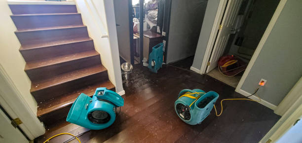  Mound, MN Water damage restoration Pros