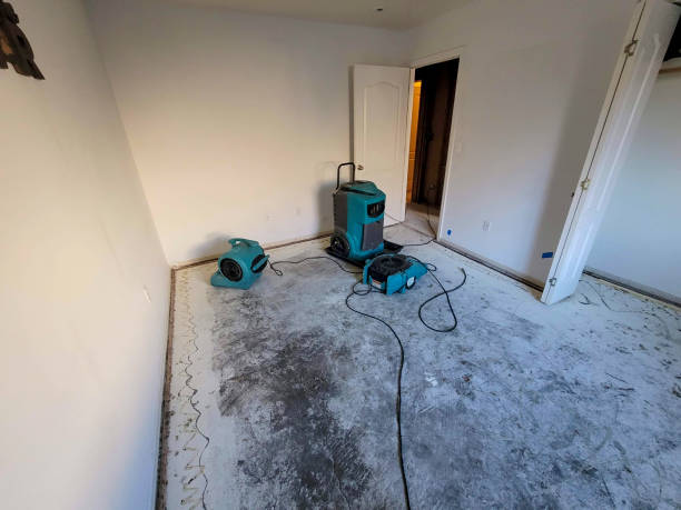 Best Sewage cleanup and water damage restoration  in Mound, MN