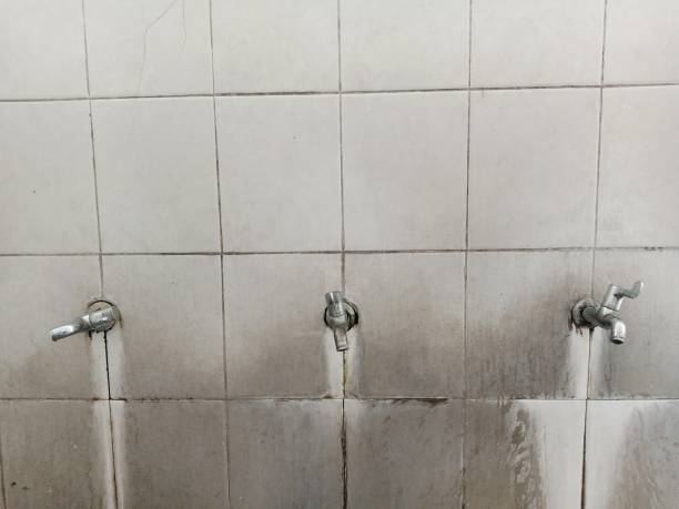 Best 24-hour water damage restoration  in Mound, MN