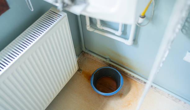 Best Mold removal after water damage  in Mound, MN