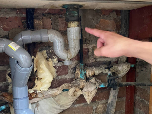 Best Carpet water damage restoration  in Mound, MN