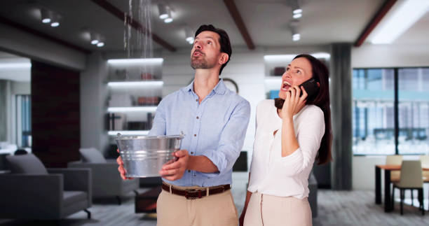 Best Carpet water damage restoration  in Mound, MN