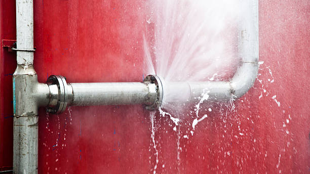 Best Flood damage cleanup  in Mound, MN