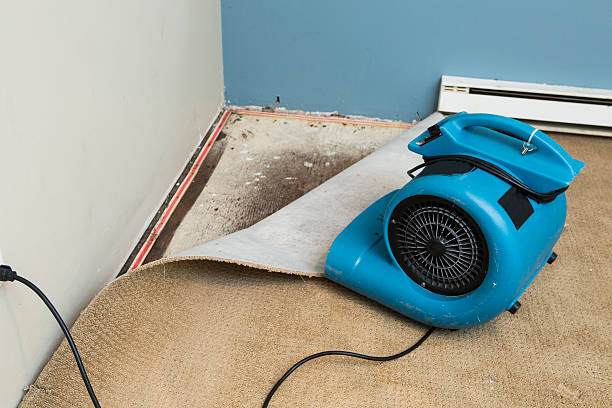 Best Residential water damage restoration  in Mound, MN